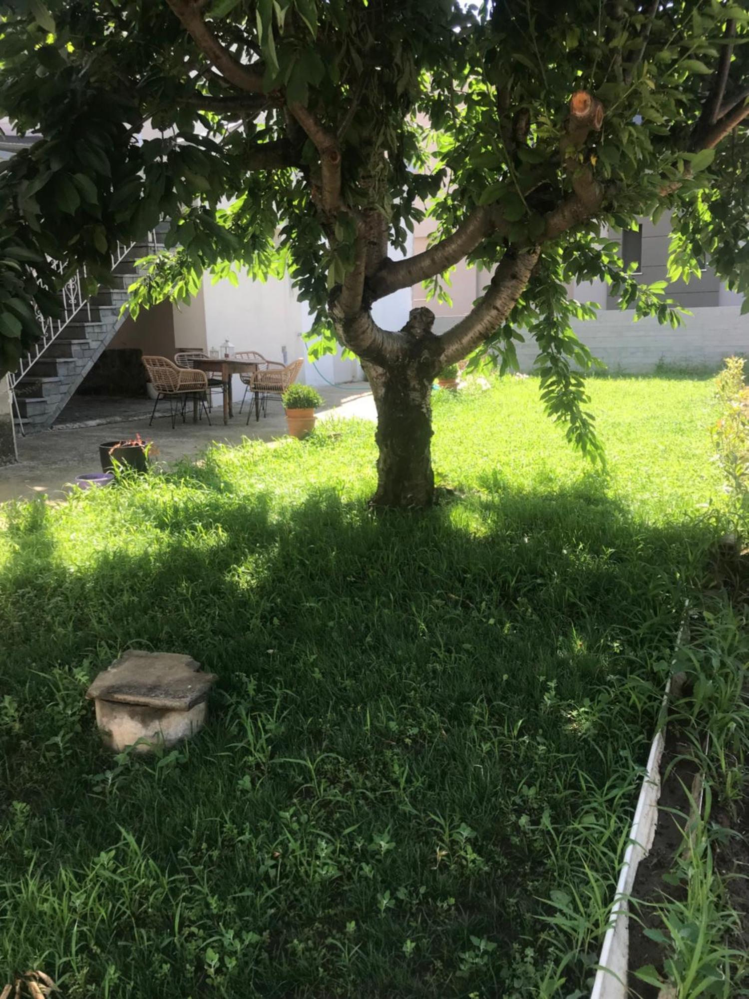 Harmony Apartment Nea Karvali Kültér fotó